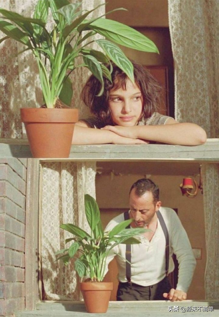 电影top250排行榜,豆瓣高分电影排行前100