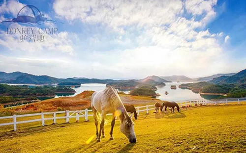 全国顶级房车营地推荐,十大最好房车营地