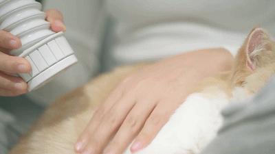 南方暖气神器,南方电暖神器