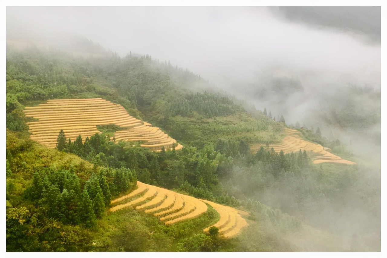 数智移动实事为民丨中国移动以匠心暖人心为广西群众办实事解