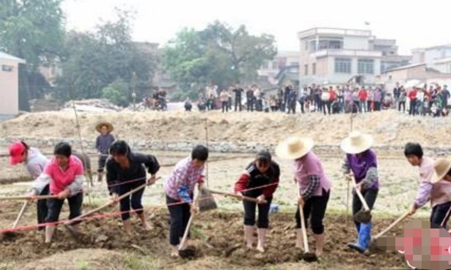 穷不碰三艺富不亲三人指的是什么,穷不三人富不记三亲是什么意思