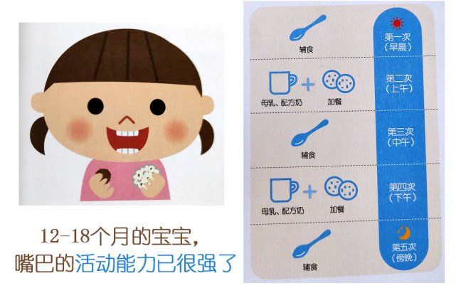6-18月宝宝辅食添加有它就够,6-8个月辅食添加规律