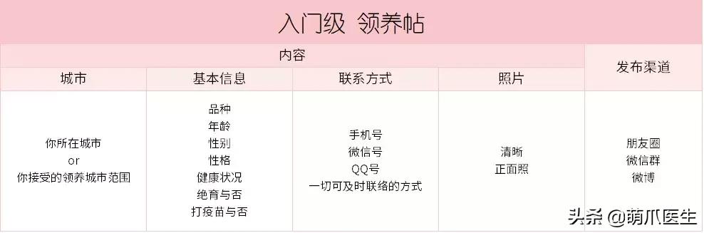 领养一只猫真的很难吗,领养很难