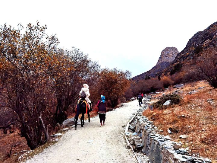 稻城亚丁攻略最新版,最新稻城亚丁旅游攻略图