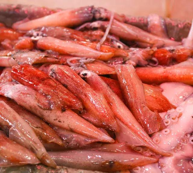 深圳经济特区的生日,深圳经济特区生日快乐