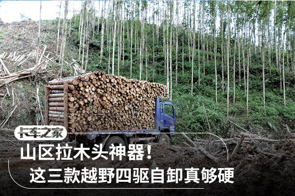 自卸拉木头神器,山区拉木头神器