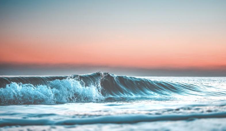 过来人|他用热爱海洋、守护地球的心打动招生官