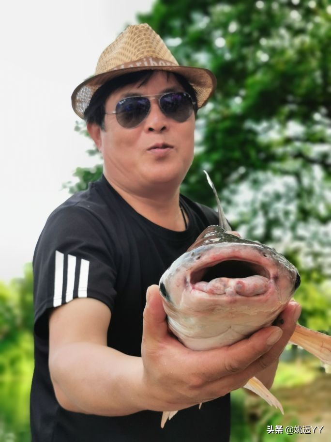 四海钓鱼韩国钓鱼纪录片,四海钓鱼南澳岛