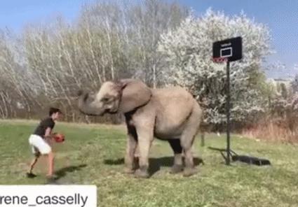 岁月杀猪刀催人老的完整诗句,今日趣图终于熬过来了