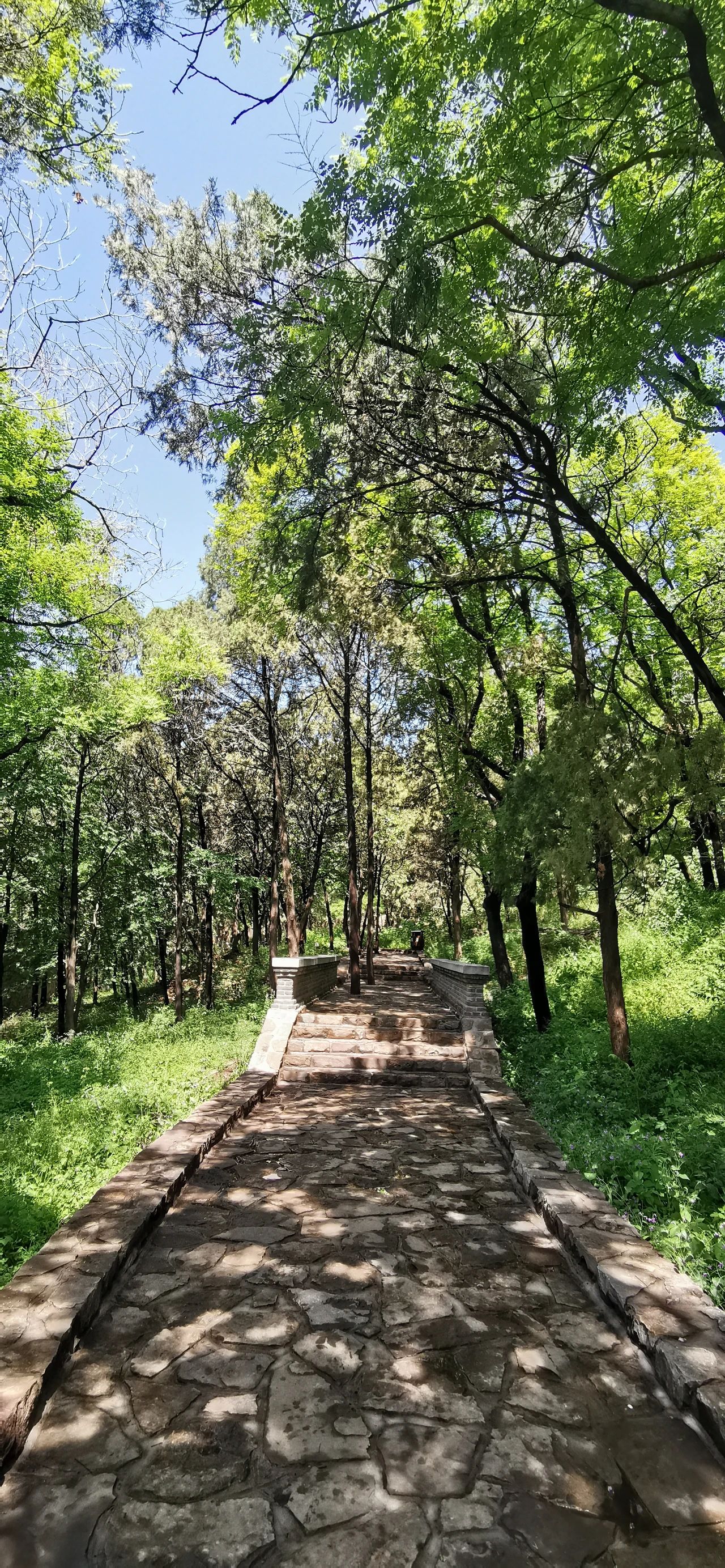 济南免费遛娃的地方,济南市十一带娃游玩好去处
