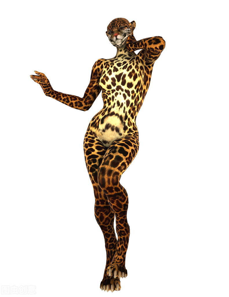 鸿星尔克下一句广告词,鸿星尔克广告词语音