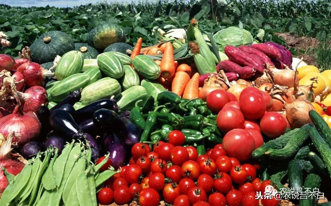 农批市场的现状与发展趋势,农批市场的梦想与理念