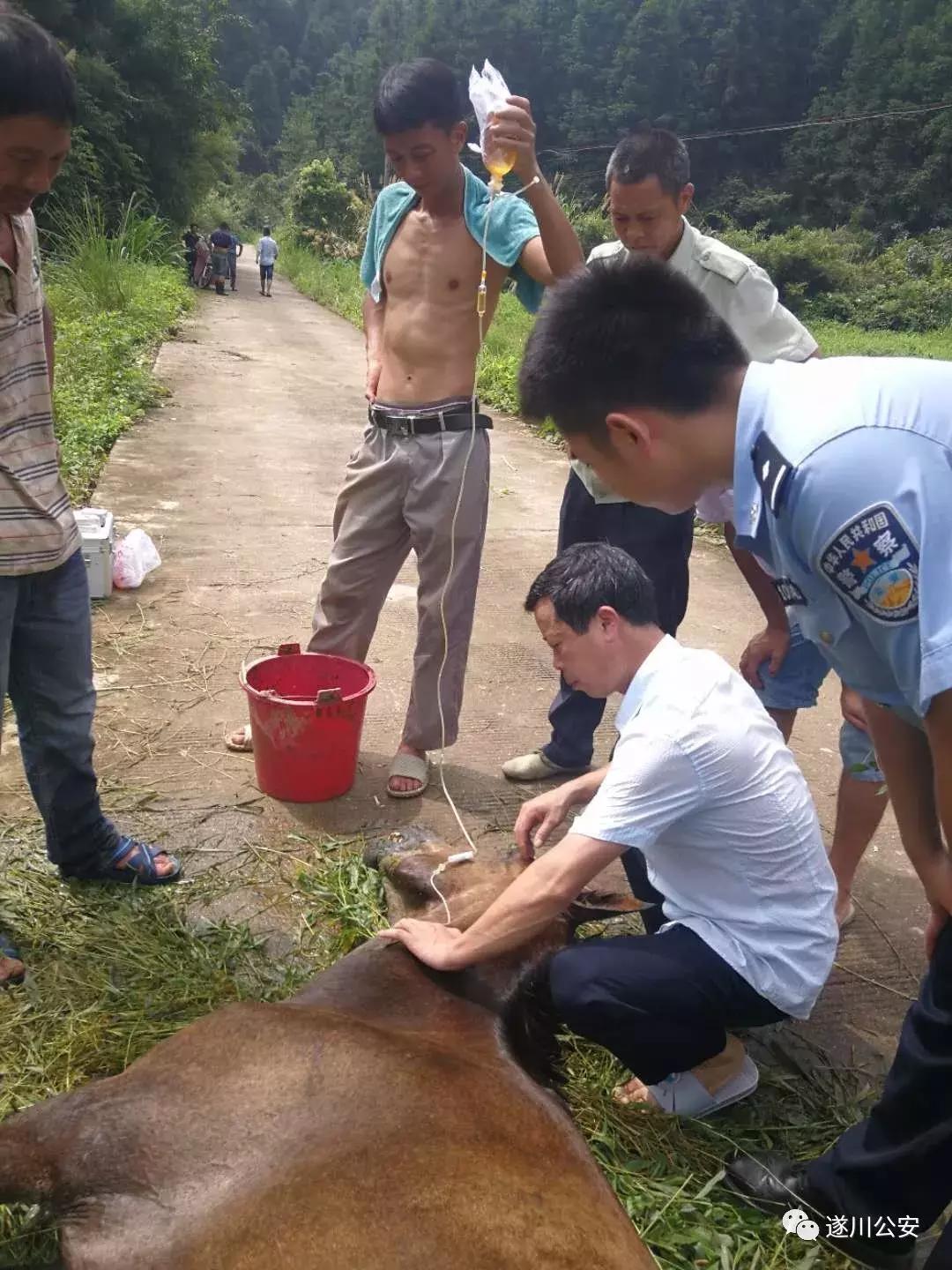 2019年江西遂川衙前杀人案,骡子是怎样被杀的