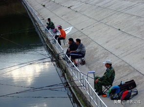 一般挑鱼竿最看重的几个点,选择鱼竿容易踩坑的地方