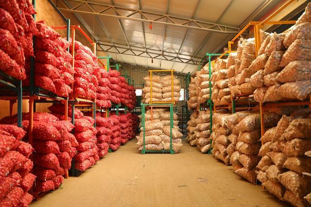 蓝蛙经营模式,蓝蛙山东开店