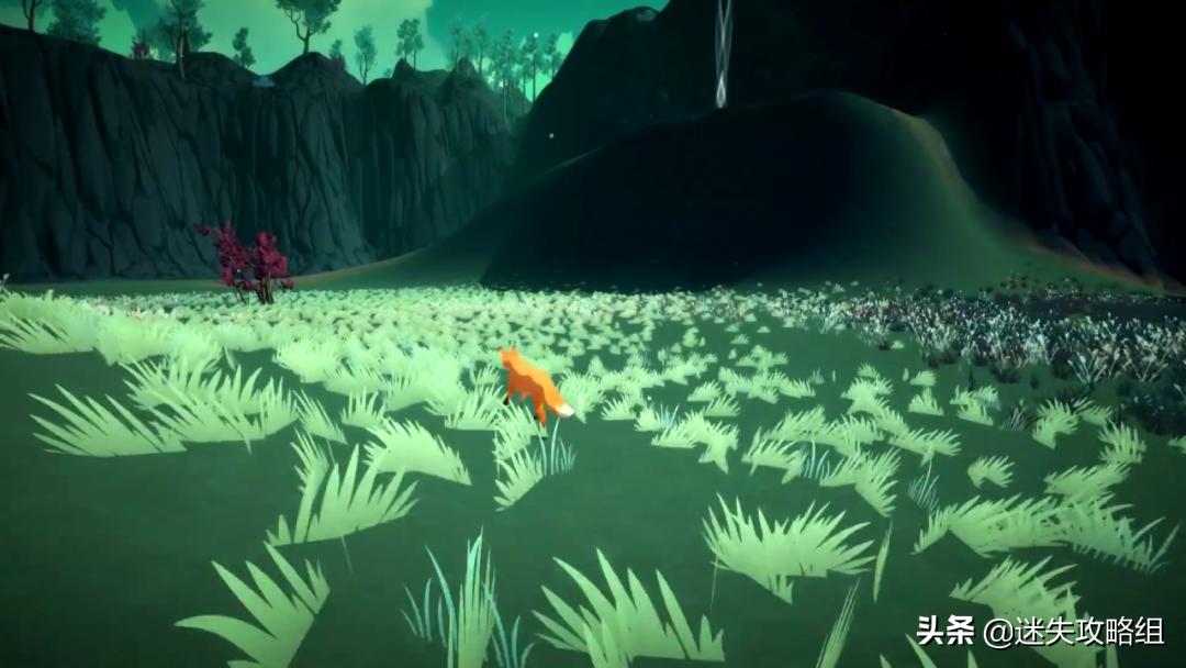 《第一棵树》：最值得留念的，是人生中那些不起眼的瞬间