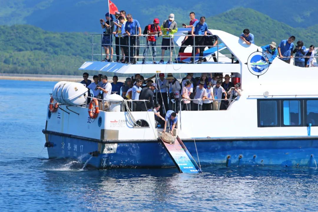 非法交易乌龟案,非法销售海砂