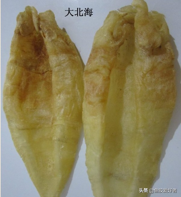 鱼胶花胶对下奶有好处吗,鱼胶能改善卵巢功能吗