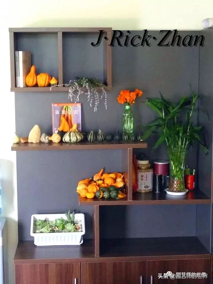 城市蔬菜园景观设计,蔬菜花园造型