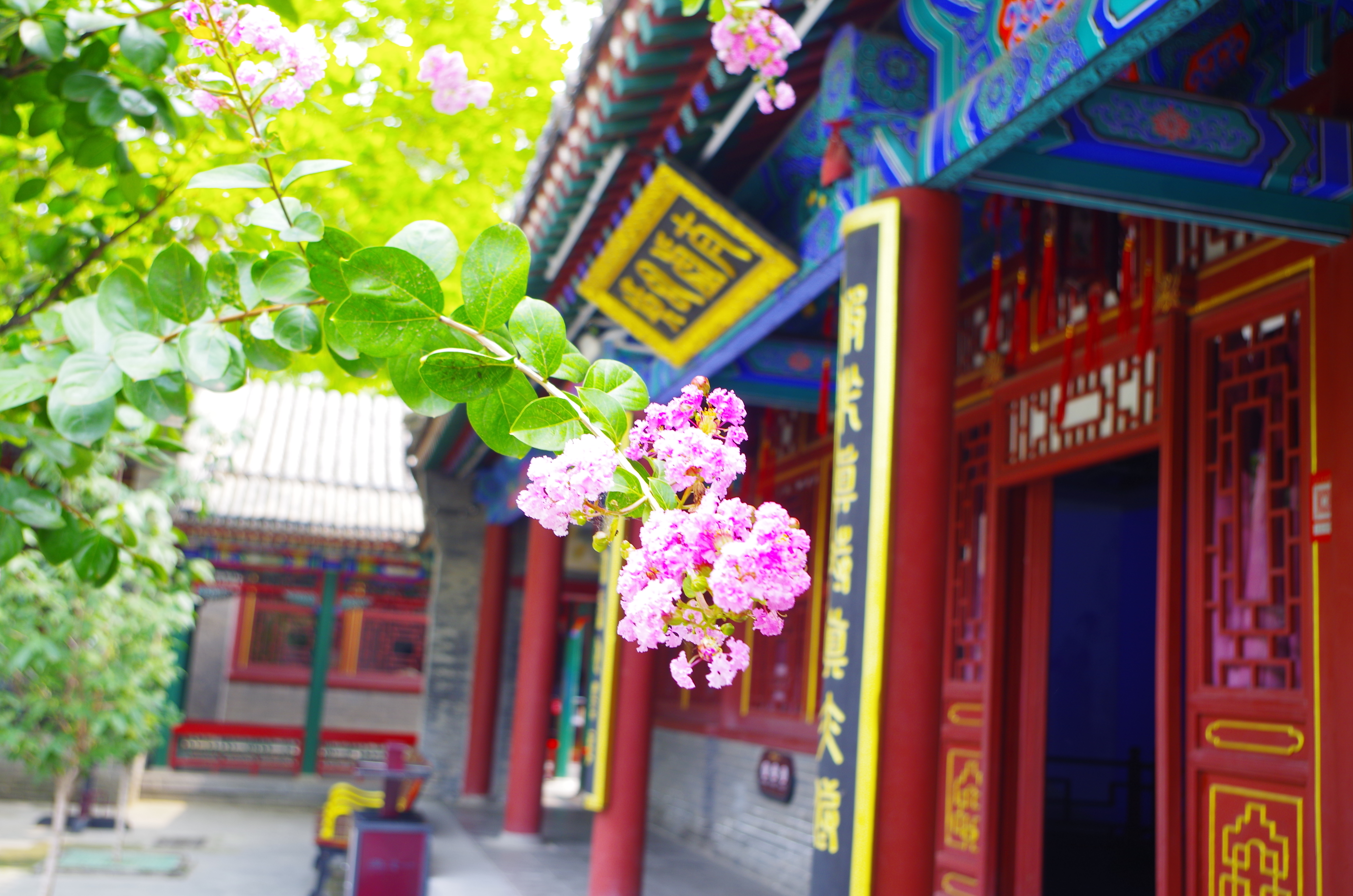 来自于1986年的荣国府