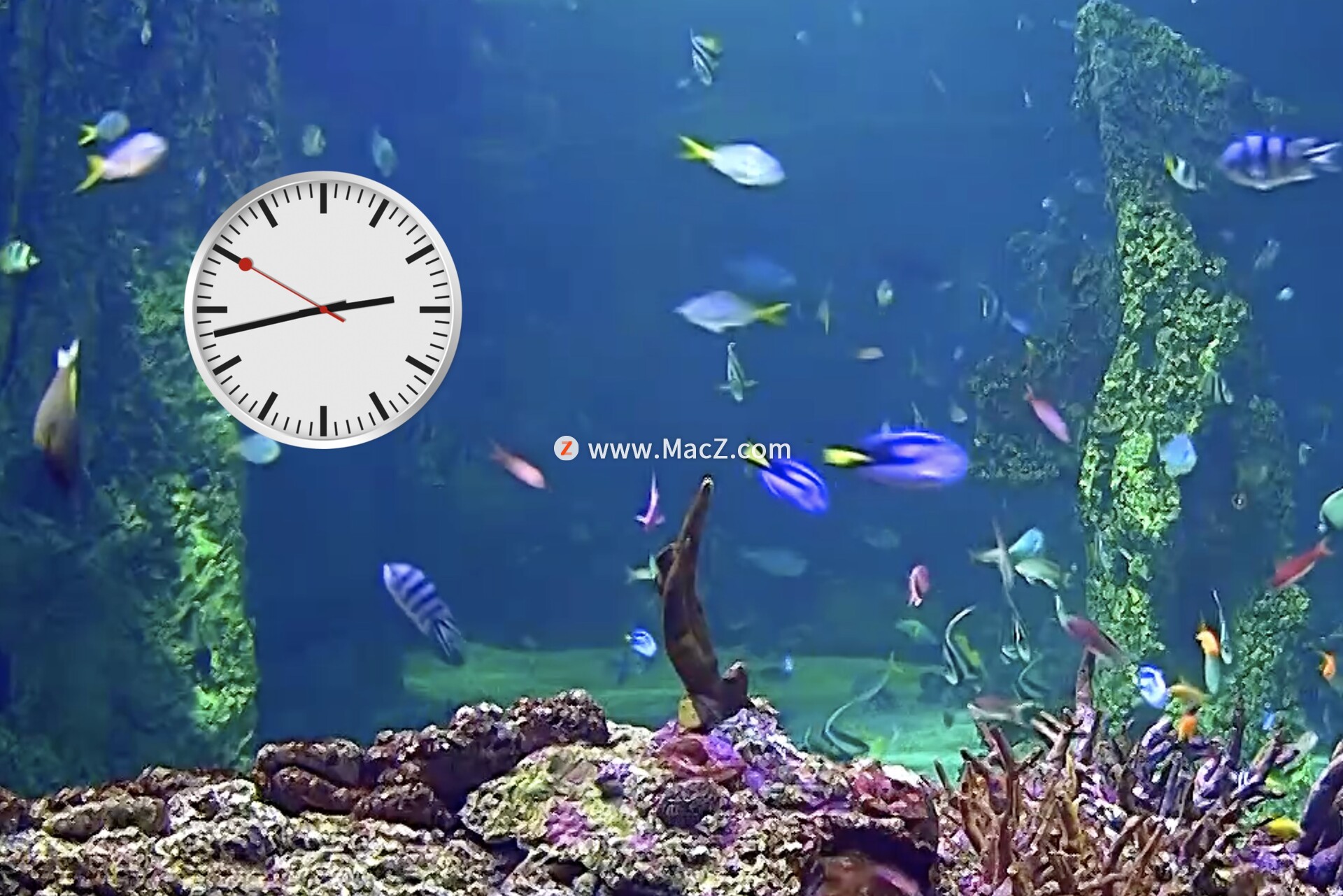 macbook视频剪辑必备软件,macbook上真正必装的10个软件