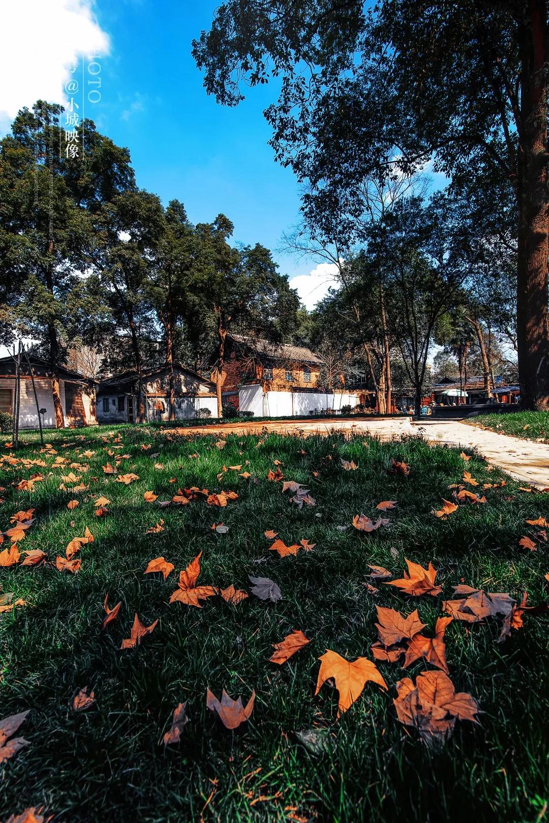 郫县是怎么发展起来的,郫县区为什么这么出名