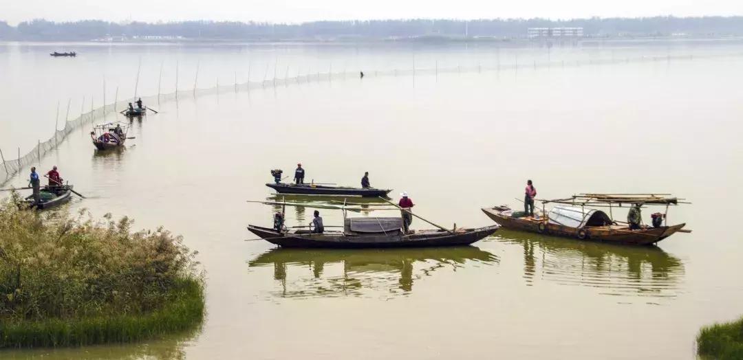中国十大湖泊最美景点,十大风景最美的湖泊排行榜