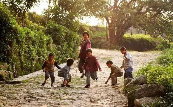 苗圃樱桃最后怎么死的,苗圃樱桃解读