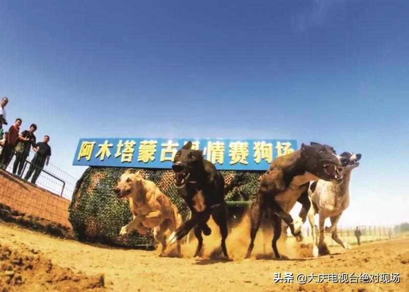 阿木塔17个网红创业项目等你来拿！