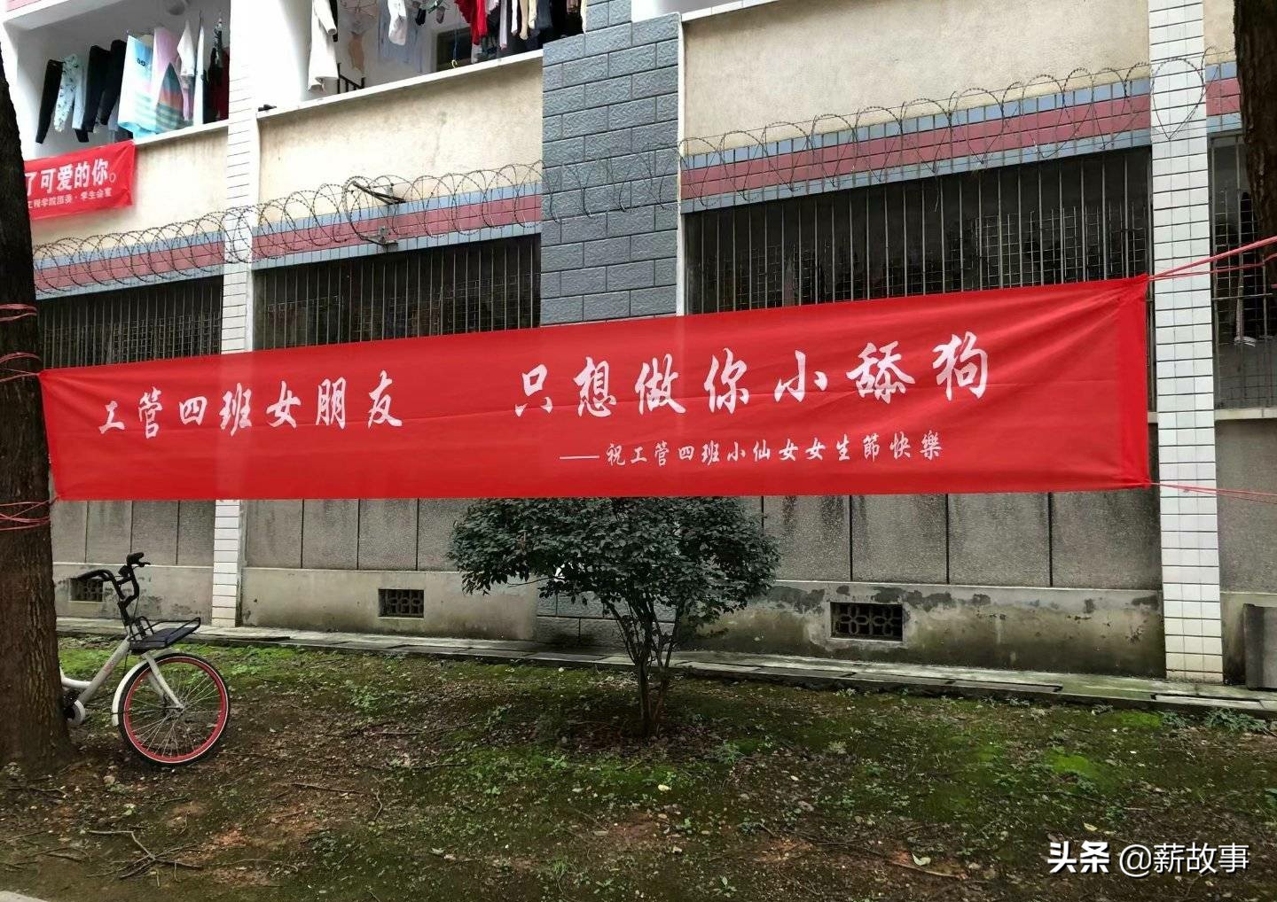 高校硬核开幕,高校硬核开幕式天地会