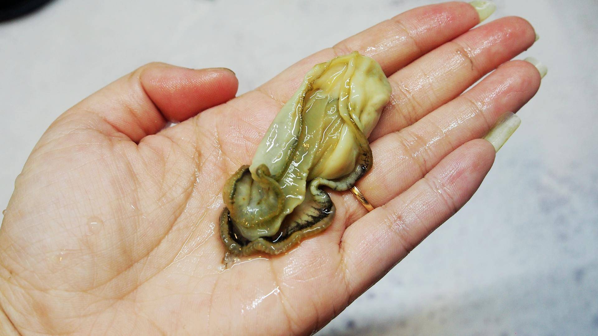 生蚝最好吃的5种做法,如何打开生蚝以及生蚝的三种吃法