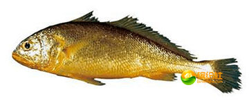 舟山海鲜代加工攻略,最全舟山海鲜攻略