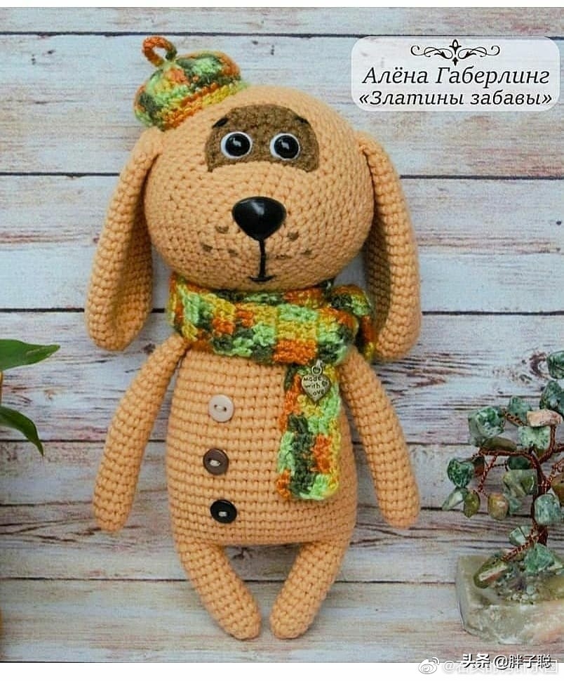 带斑点的狗狗品种,带斑点的狗狗