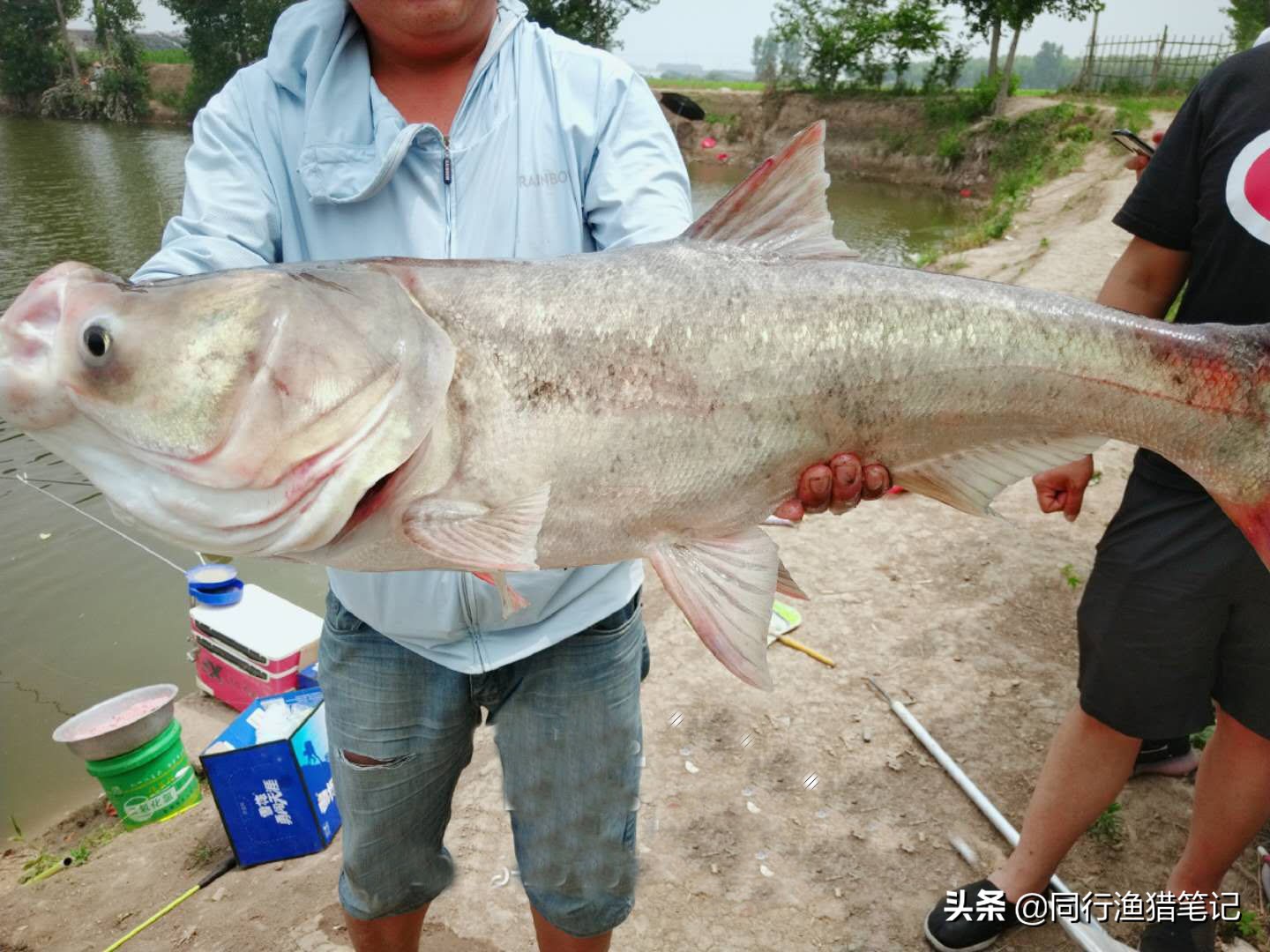 辟谣：用细线钓鱼就是细线钓法？不尽然，细线钓法只是相对概念