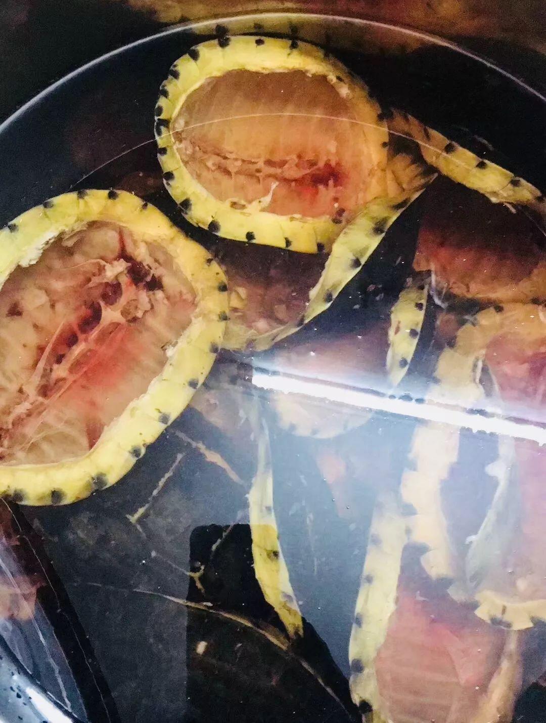 花式鲜炖燕窝推荐,花式鲜炖燕窝给你不一样味道