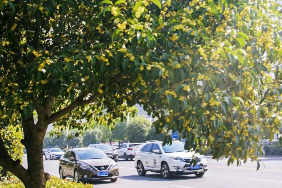 中国十大温泉城市,中国特别有名的十大温泉馆