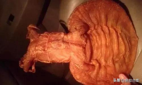 花胶一共有几种类型的品种,花胶种类中哪种最好