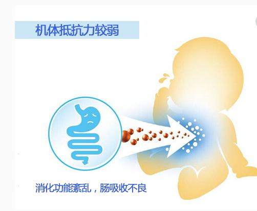 益生元的作用与功效,益生元的作用与功效中老年可吃