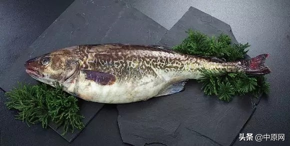 3月5日每天3分钟尽览天下事（习*平近**给文艺界、社科界的七句箴言）