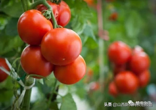 鎴戜滑韬竟鐨勬柊闂绘湁鍝簺,鎴戜滑韬竟鐨勪簩闈掍細灞辫タ