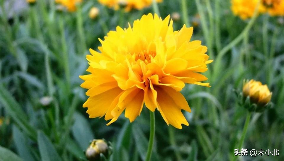 不要轻易嫁给穷男人,嫁给一个穷的男人