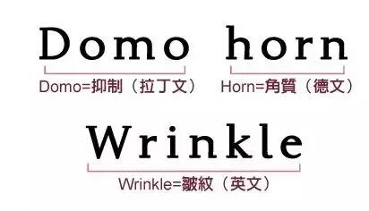 日本小众品牌护肤品,日本超人气化妆品