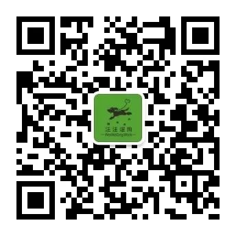 全球宠物展览会举办最多的地方,十月宠物展会时间表