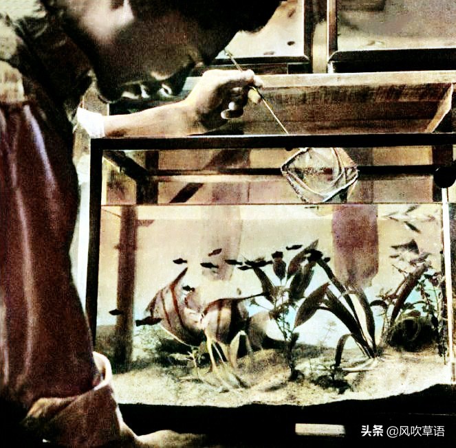 纺织城老照片视频,老照片1980年代的西安生活