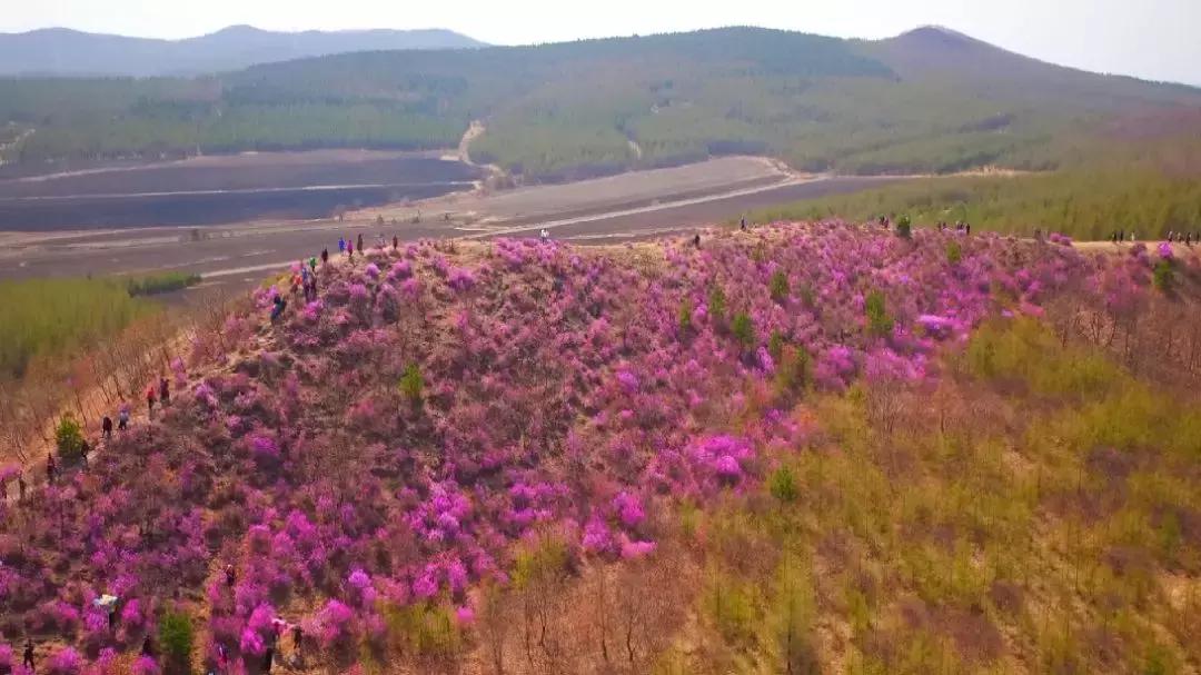 花开倾城彩云岭文旅融合谱新篇“壮丽70年，微眼看家乡”之宝清县篇