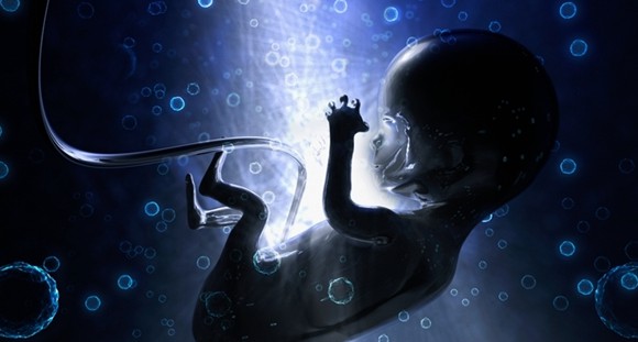 胎儿附属物胎盘、胎膜、脐带、羊水的形成与功能，你知道吗？