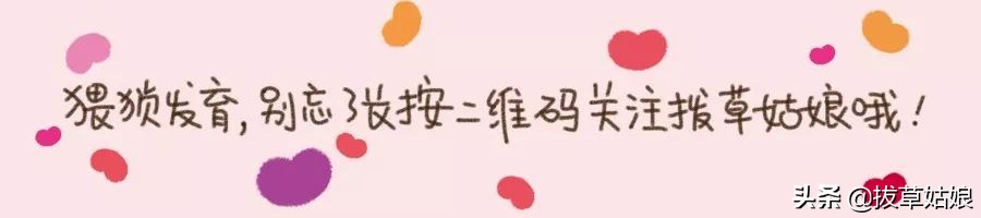 种草第16棵丨这个“硬盘”allin都不心疼