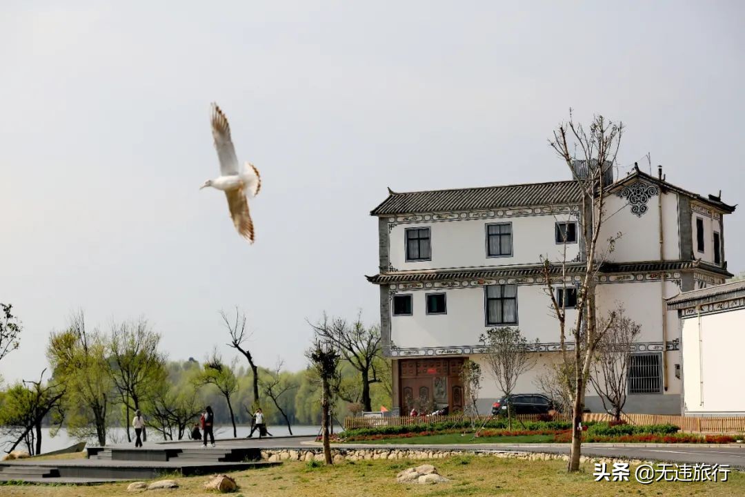 大理磻溪s弯网红打卡,大理洱海磻溪村s弯网红打卡地