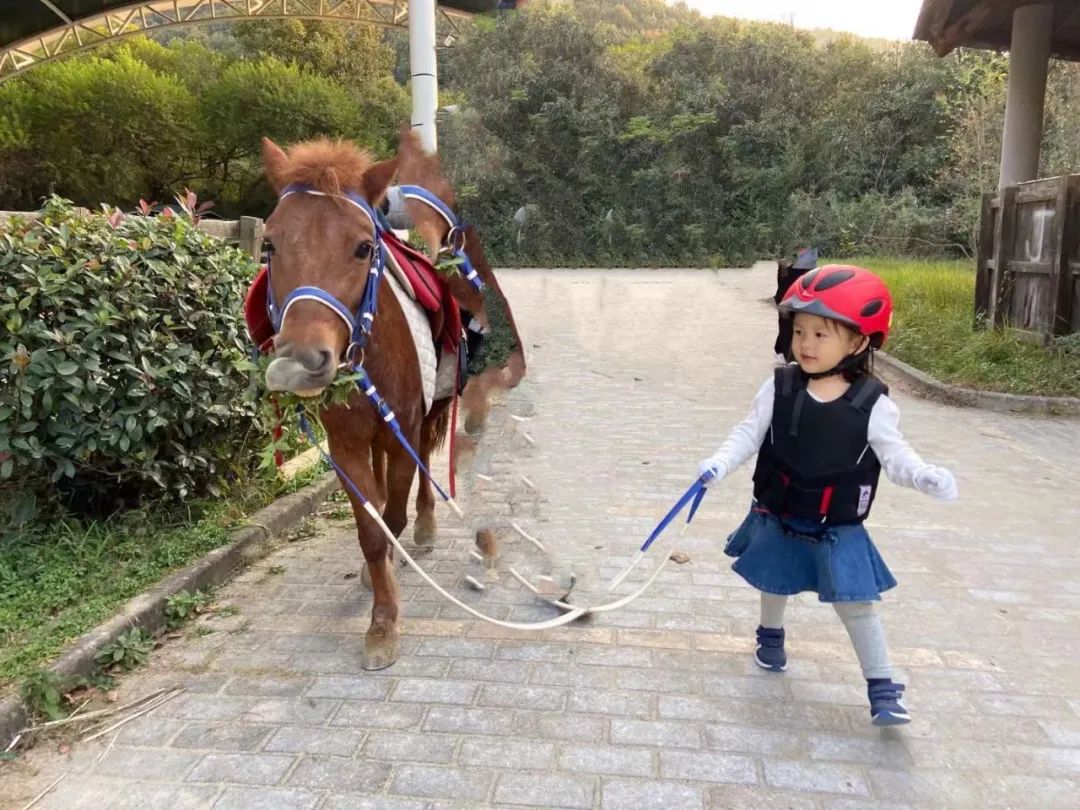 烧麦的工作日常,烧麦需要注意的事项