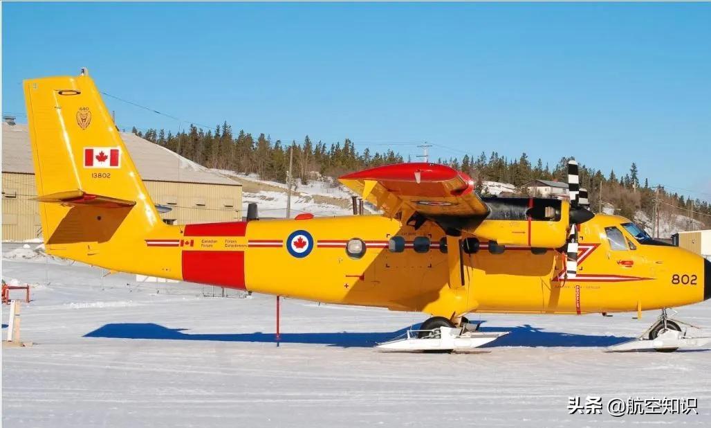 飞机制造商对动物的喜爱到底有多深?——德哈维兰加拿大